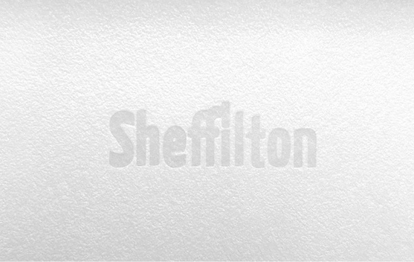 Стул SHT-ST29/S98 Sheffilton